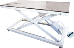 Stainless steel electric height-adjustable veterinary examination table mod. Gamma