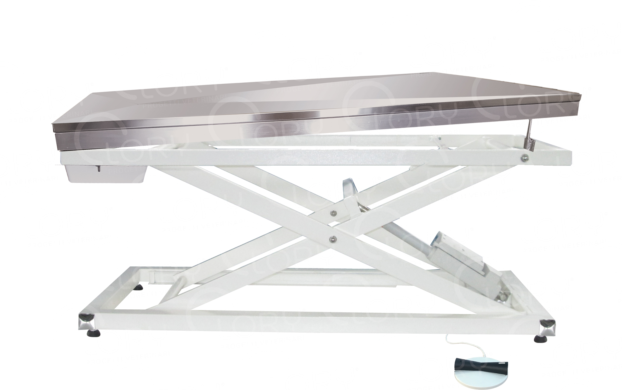 AISI 304 stainless steel electric veterinary examination table with Trendelenburg movement mod. Gamma Operatory