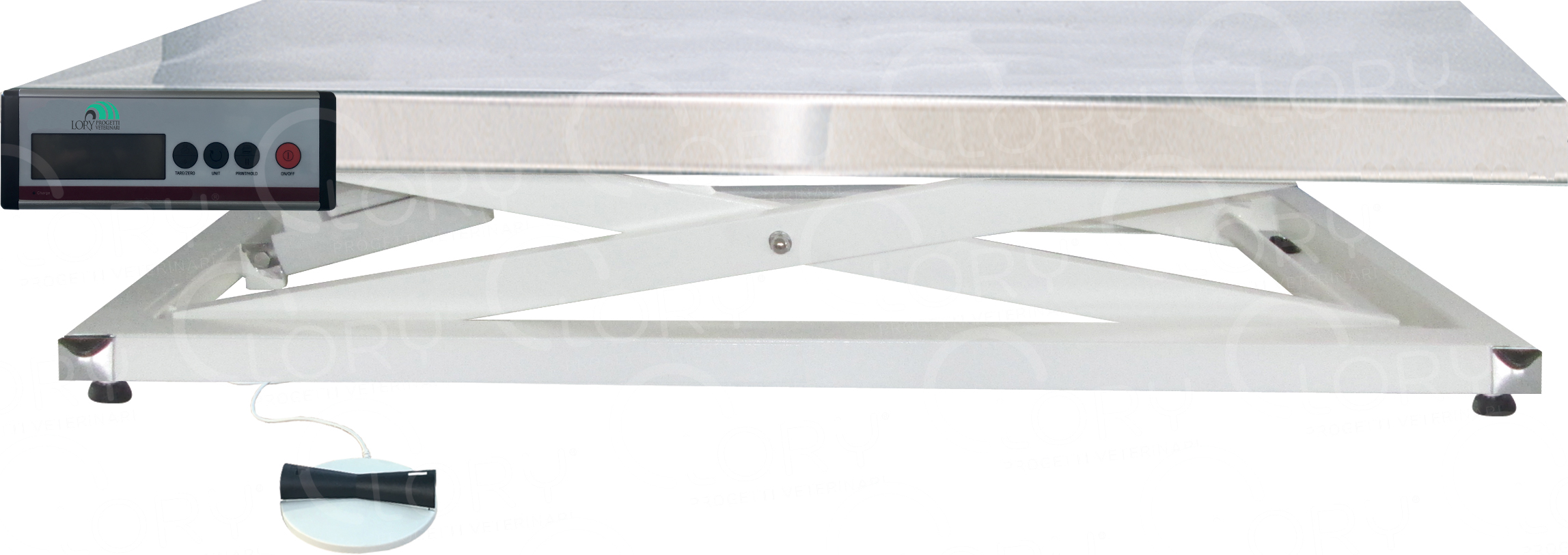 AISI 304 Stainless Steel Electric Veterinary Examination Table mod. Gamma with scale