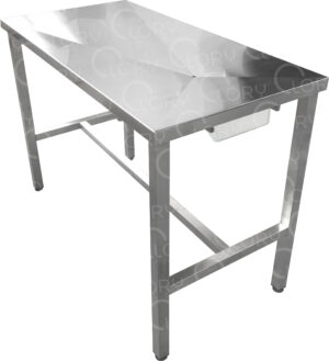 AISI 304 stainless steel fixed veterinary examination table with liquid collection tray mod. Planner Small