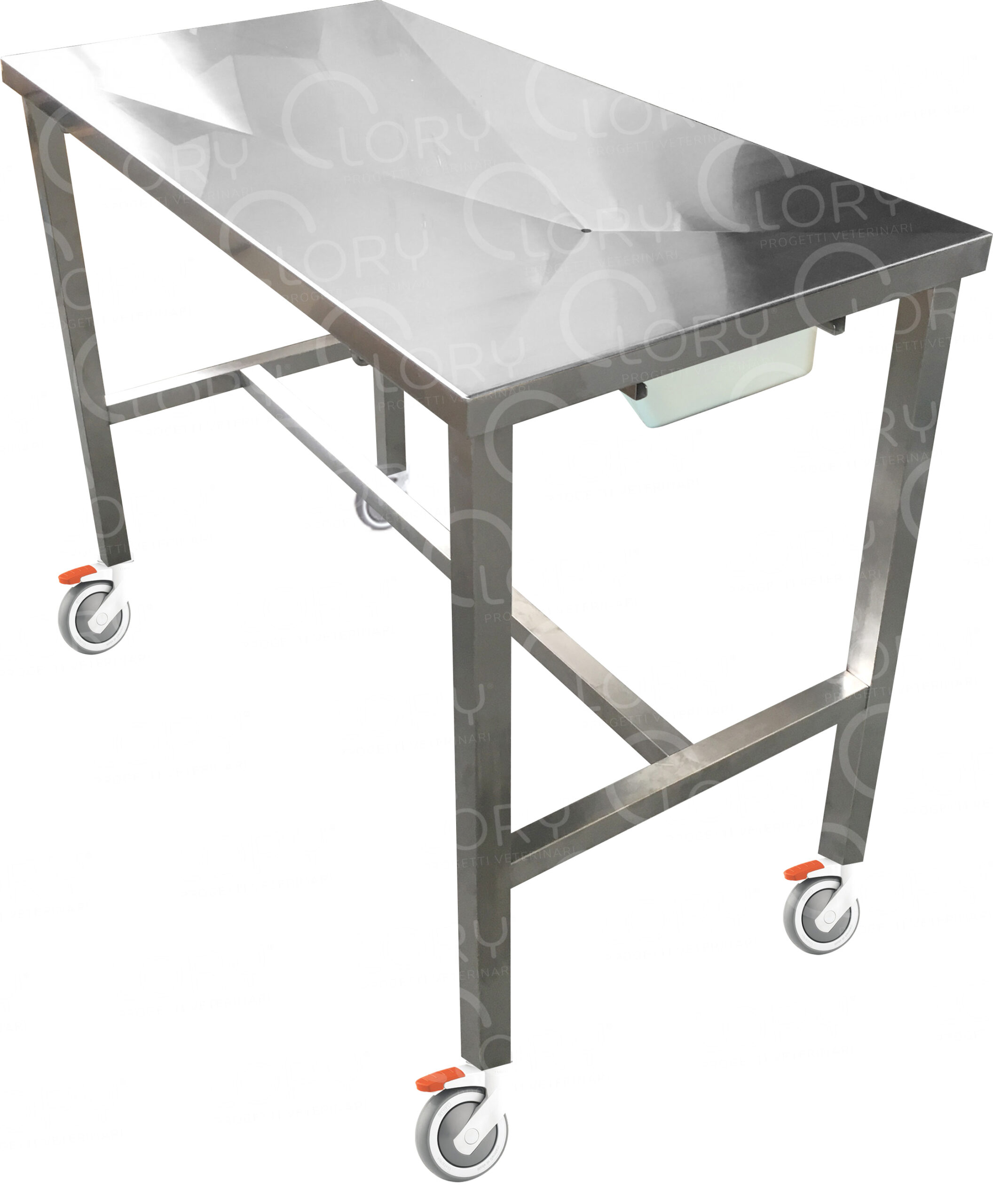 AISI 304 stainless steel fixed veterinary examination table with liquid collection tray mod. Planner Maxi on wheels