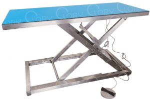 Tavolo elettrico da visita veterinaria in acciaio inox AISI 304 con piano radiotrasparente mod. Medical Radio