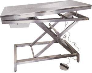AISI 304 Stainless Steel Electric Veterinary Examination Table with Trendelenburg Movement mod. Medical Inox Operatory on Feet