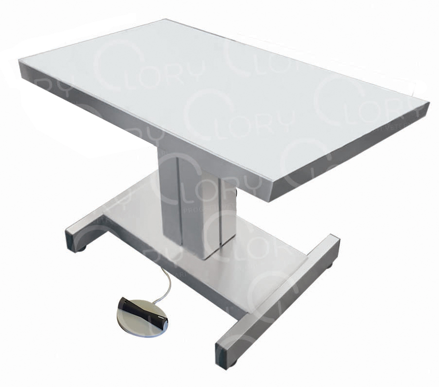 1-movement electric veterinary examination table made of AISI 304 stainless steel mod. Baby - Image 2