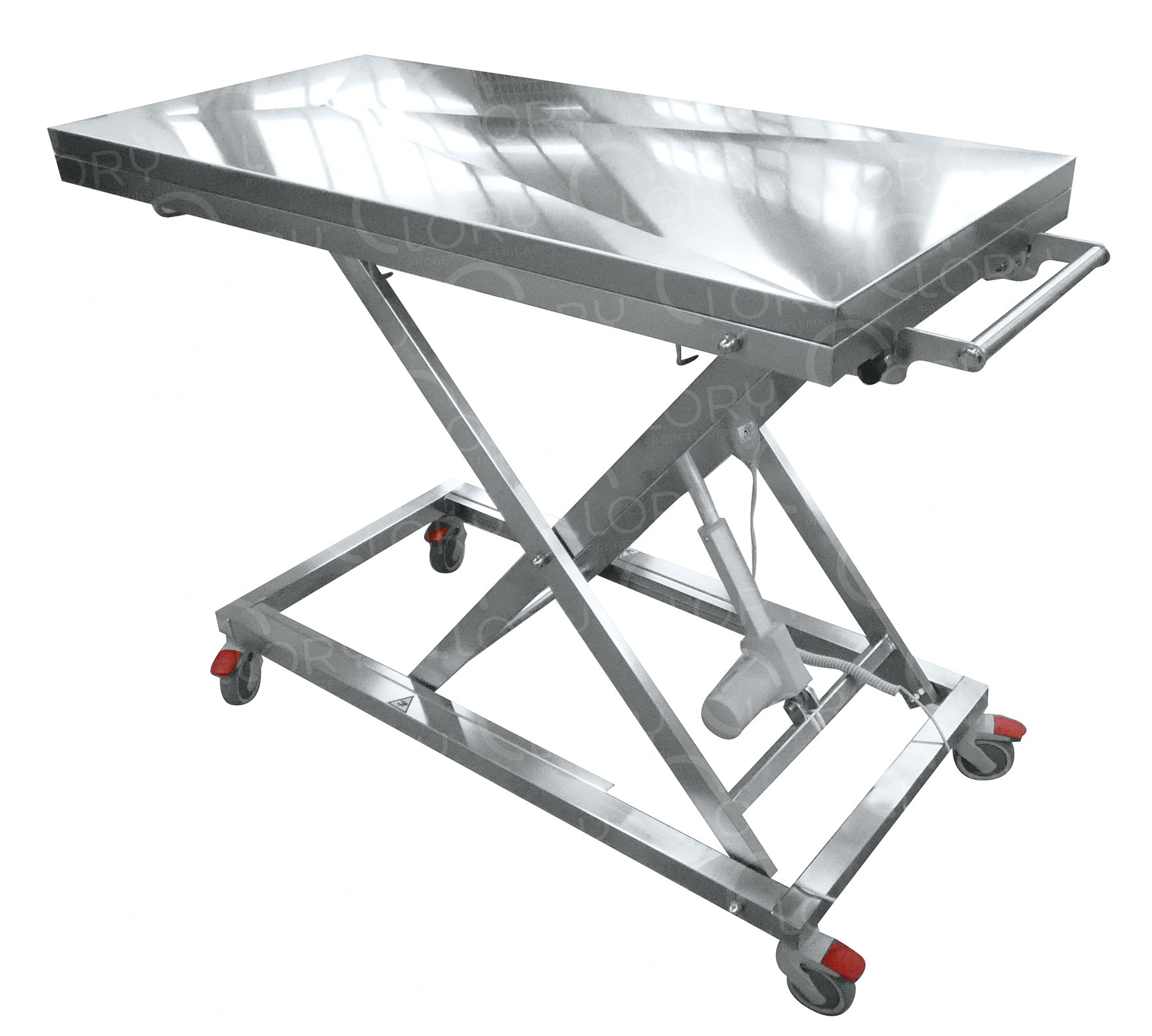 1-Motion Electric Veterinary Examination Table with AISI 304 Stainless Steel Top mod. Flex