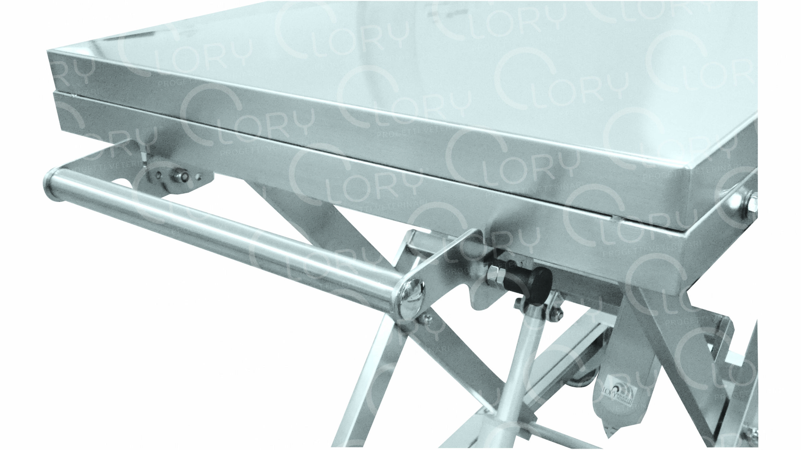 1-Motion Electric Veterinary Examination Table with AISI 304 Stainless Steel Top mod. Flex - Image 2