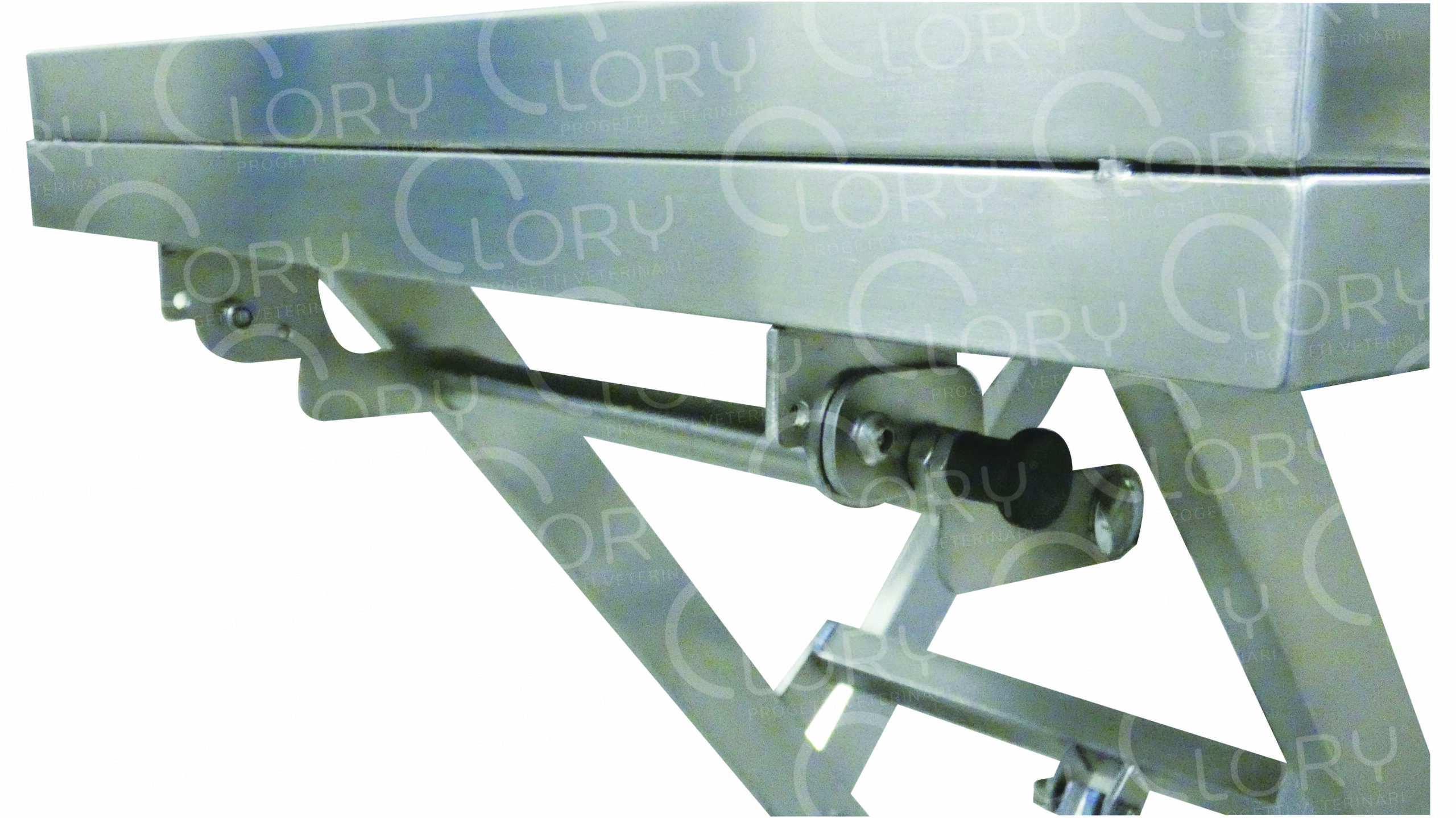 1-Motion Electric Veterinary Examination Table with AISI 304 Stainless Steel Top mod. Flex - Image 3