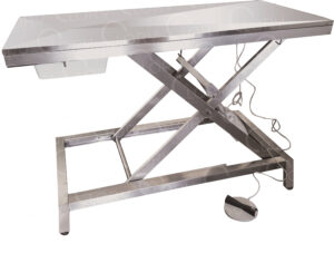 AISI 304 AISI 304 Stainless Steel Medical Electric Veterinary Examination Table on Feet