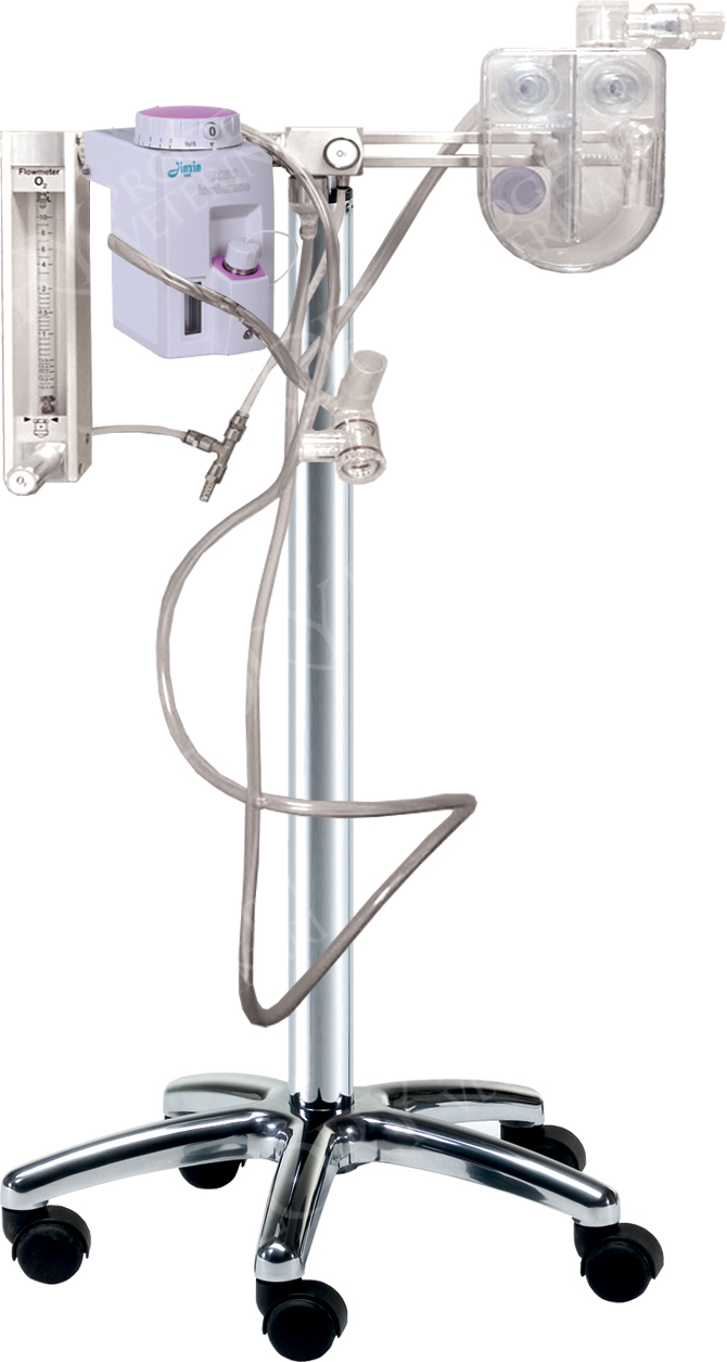 Stand for gaseous anesthesia with isoflurane