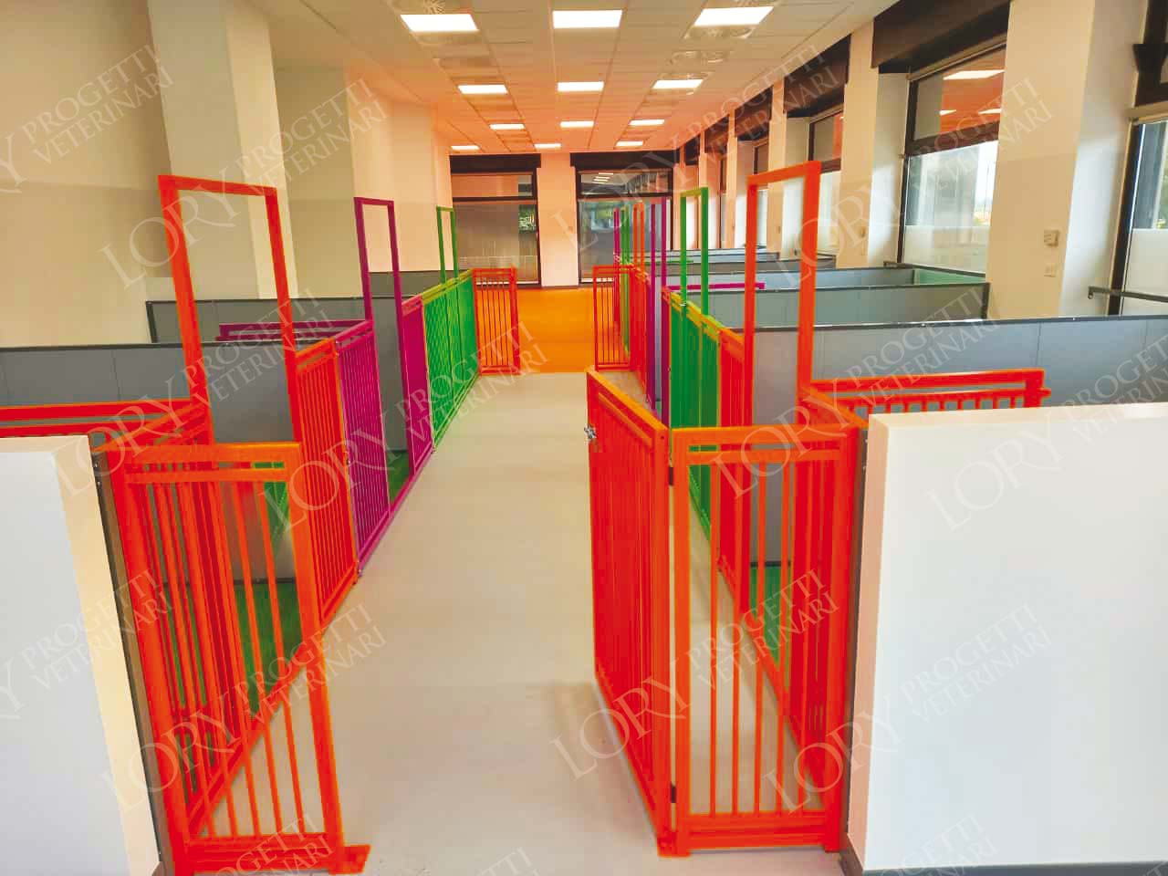 Dog daycare