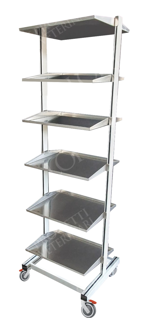 Carrello per endoscopia