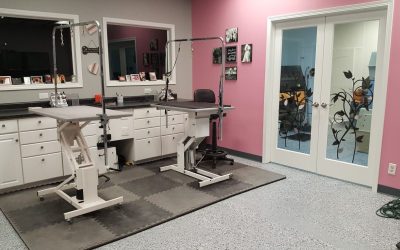 The perfect decor for grooming stores