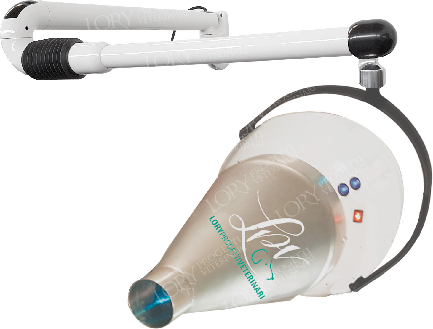 Professional hair dryer with wall mount