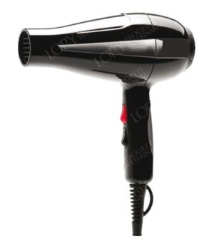 Professional hair dryer
