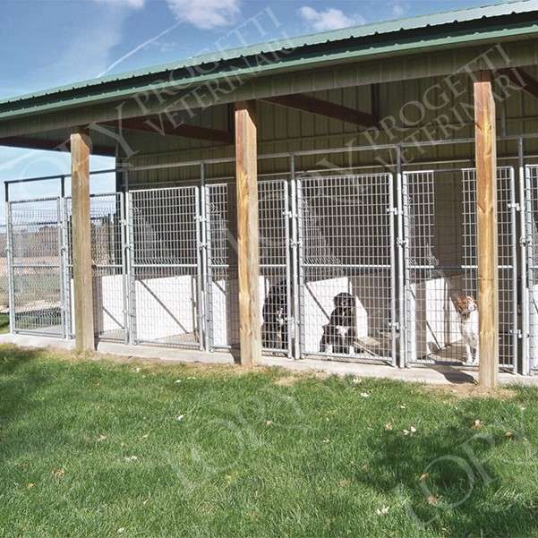 Dog boxes and boarding houses