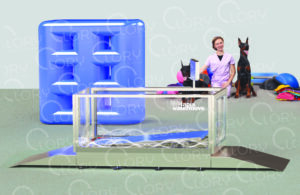 Water treadmill