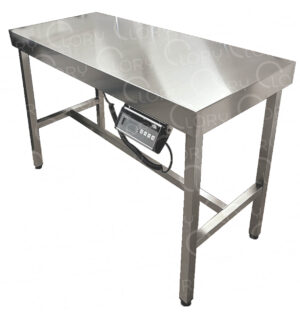 Veterinary examination table with integrated scale in AISI 304 stainless steel