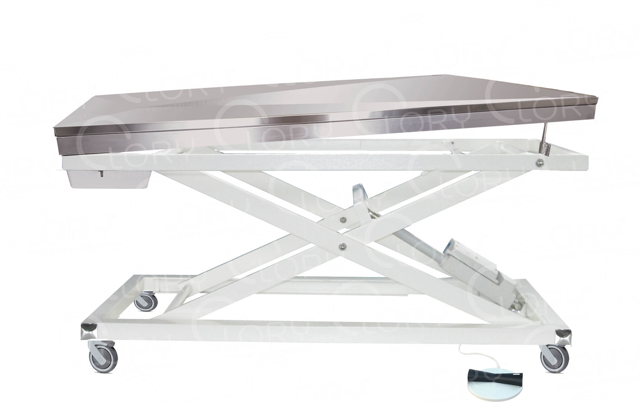 Stainless Steel Electric Veterinary Examination Table with Vertical Movement mod. Gamma Operatory on wheels