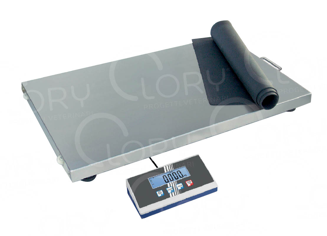 Floor scales