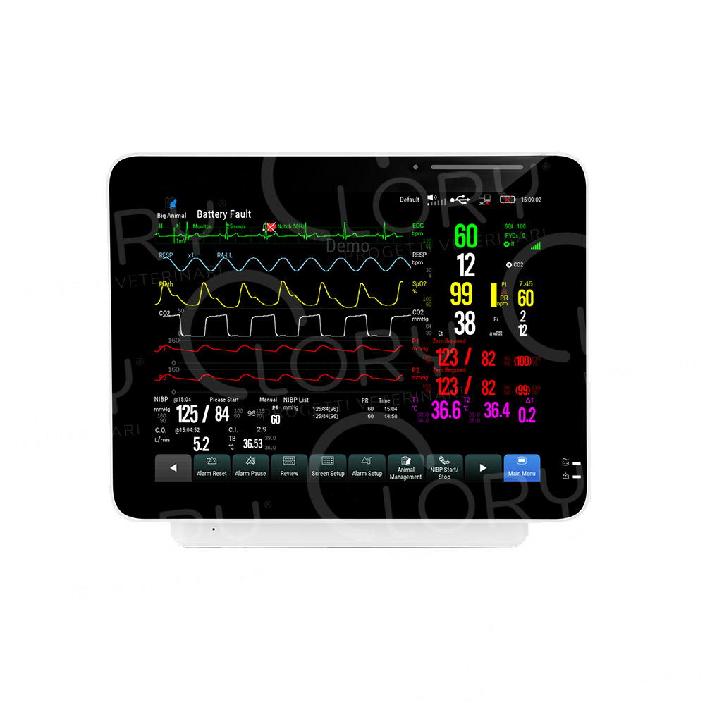 Multiparameter monitor